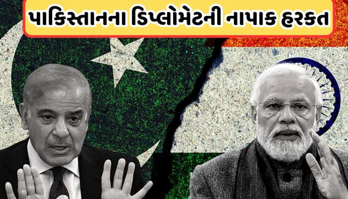 India Pakistan Tension: ભારતની પાકિસ્તાન પર વધુ એક 'સ્ટ્રાઈક', આ લોકોને 24 કલાકમાં દેશ છોડવાનો આદેશ