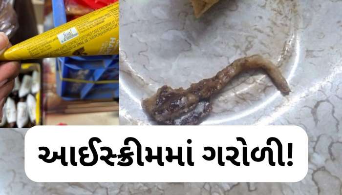 ગુજરાતની સૌથી જાણીતી 'આઈસ્ક્રીમ' કંપનીના કોનમાં નીકળી ગરોળી, AMCએ શરૂ કરી તપાસ