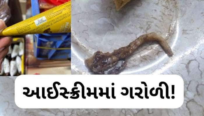 ગુજરાતની સૌથી જાણીતી 'આઈસ્ક્રીમ' કંપનીના કોનમાં નીકળી ગરોળી, AMCએ શરૂ કરી તપાસ