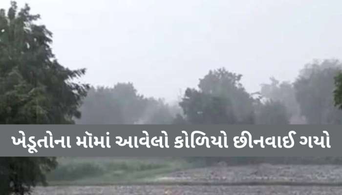  ગુજરાતમાં અહીં આંઘી, વંટોળ અને માવઠાએ ખેડુતોની કરી દુર્દશા! આ પાકનો સોથ વળી ગયો, ભારે તારાજી