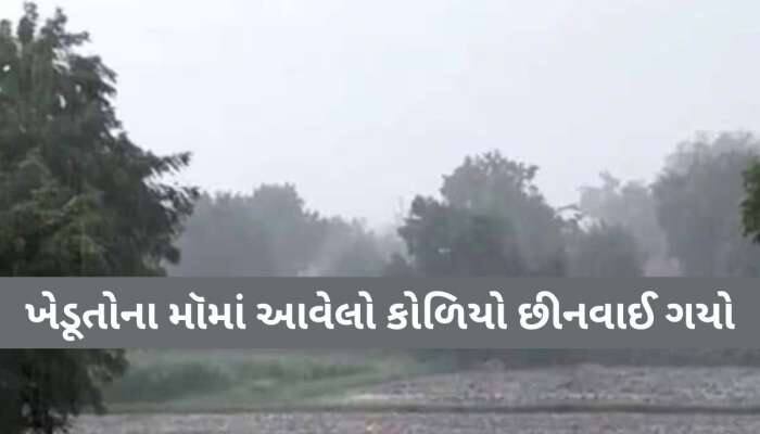 ગુજરાતમાં અહીં આંઘી, વંટોળ અને માવઠાએ ખેડુતોની કરી દુર્દશા! આ પાકનો સોથ વળી ગયો...