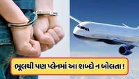 પ્લેનમાં કે એરપોર્ટ પર આ શબ્દોનો ઉપયોગ પડી શકે છે ભારે, થઈ શકે છે કાનૂની કાર્યવાહી