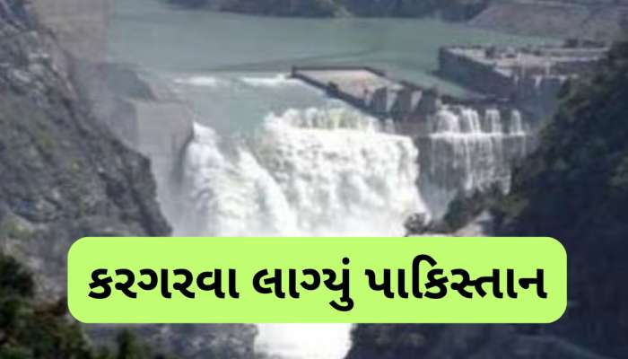 પાકિસ્તાનનું ગળું સૂકાયું, ઝોળી ફેલાવીને કરગરવા લાગ્યું- સિંધુ જળ સંધિ પર ભારત વિચાર કરે