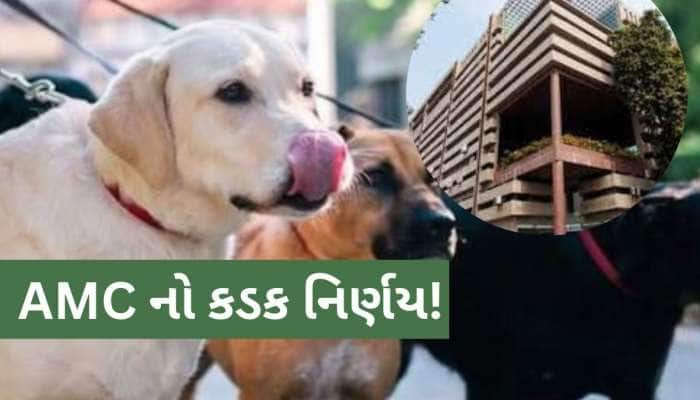 પાલતુ શ્વાનનું રજિસ્ટ્રેશન ફરજિયાત; નહી માનો તો ઘર અને ઓફિસના નળ-ગટરના કનેક્શન કપાશે