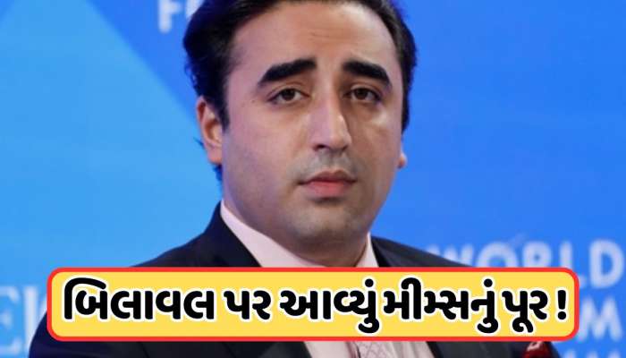 'રાત્રે કોણ હુમલો કરે છે...', બિલાવલે સંસદમાં આપ્યું એવું નિવેદન, ઉડી ખૂબ મજાક, જોયા પછી તમે હસવાનું રોકી નહીં શકો!