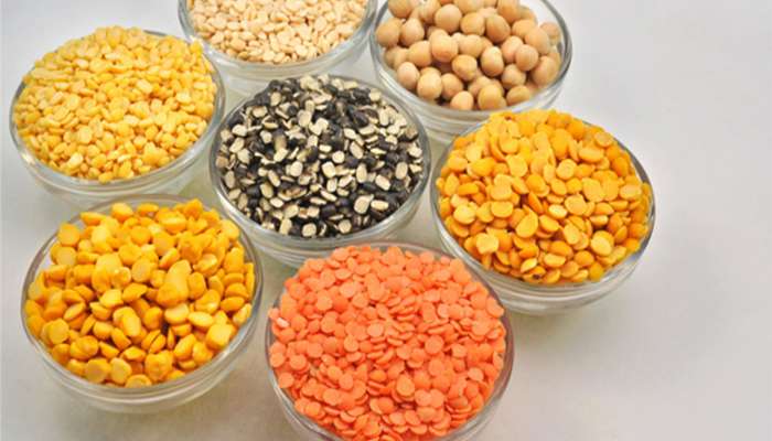 Health Tips: અડદની દાળ હાડકા મજબૂત કરે, મગની દાળ ઘટાડે કોલેસ્ટ્રોલ, જાણો કયા રોગમાં કઈ દાળ ફાયદો કરે