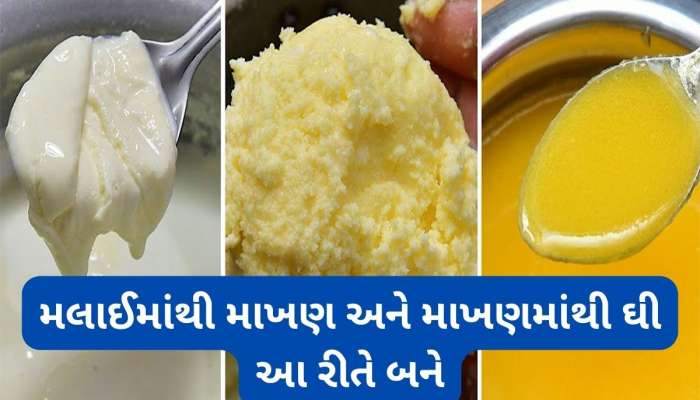 Ghee: ઘરે શુદ્ધ ઘી બનાવવાની આ છે રીત, માખણ અને ઘી બજારમાંથી ખરીદવું નહીં પડે