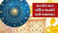18 મેના રોજ ધન યોગ આ 5 રાશિઓને કરશે માલામાલ, સૂર્યદેવની કૃપાથી થશે અણધાર્યો લાભ