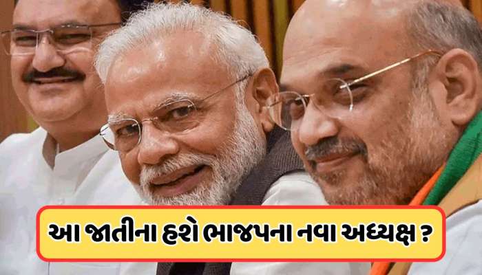 ભાજપ અધ્યક્ષ પદ માટે હવે ફક્ત 2 નામોની ચર્ચા, અટકળો તેજ... જાણો જાહેરાત ક્યારે થશે?