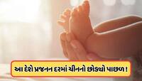 દુનિયાનો સૌથી વધુ બાળકો પેદા કરતો એવો દેશ જેને ચીનને પાછળ છોડી દીધું, જાણો
