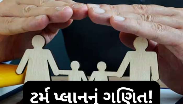  4 લોકોનો પરિવાર છે તો કેટલો લેવો જોઈએ ટર્મ ઈન્શ્યોરન્સ? આ ફોર્મ્યુલાથી થઈ જશે ગણતરી, તમે પણ જાણી લો
