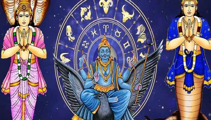 શનિ, રાહુ કે કેતુથી પરેશાન છો ? ઘરની બહાર આ દિશામાં વાવો આ છોડ, જીવનમાં શાંતિ થઈ જશે