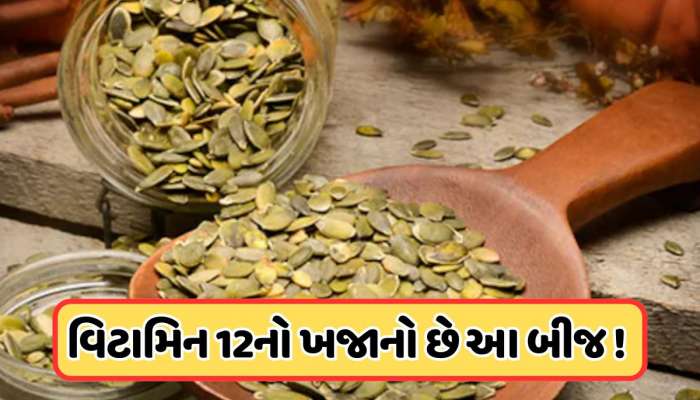 બુલેટ ટ્રેનની સ્પીડે શરીરમાં વધશે વિટામિન B12, બસ આ બીજનું આ રીતે કરો સેવન!