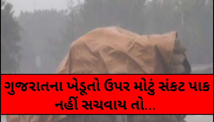 ગુજરાતમાં ભારે વરસાદના એંધાણ! યાર્ડમાં ખેડૂતોના માલને પલળતા અટકાવવા ખાસ સૂચના