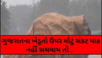 ગુજરાતમાં ભારે વરસાદના એંધાણ! યાર્ડમાં ખેડૂતોના માલને પલળતા અટકાવવા ખાસ સૂચના