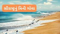 પોરબંદરની એકદમ નજીક આવેલો છે આ સુંદર દરિયોકિનારો, વિદેશથી લોકો આવે છે અહીં ફરવા