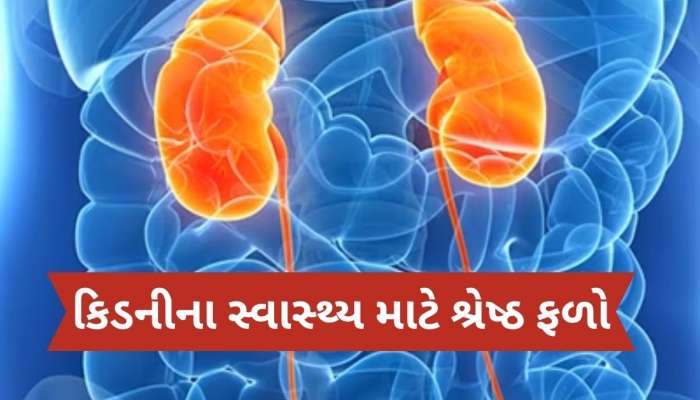 કિડનીની બધી ગંદકી નીકળી જશે બહાર, બસ ડાયટમાં સામેલ કરો આ 4 ફળ