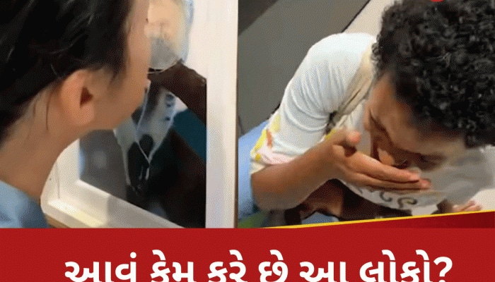 OMG! જાનવરોના પ્રાઈવેટ પાર્ટની વાસ કેમ સૂંઘે છે આ લોકો? જાણીને વિશ્વાસ નહીં કરી શકો