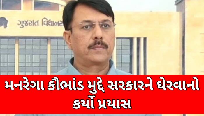 42000ની જ વસ્તી, 4 વર્ષમાં મનરેગામાં 300 કરોડનું ચુકવણું; અમિત ચાવડાના ગંભીર આક્ષેપ