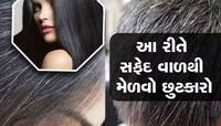 સફેદ વાળને કાળા કરવા માટે ઘરે બનાવો આ નેચરલ ડાઈ, ફક્ત 3 વસ્તુની જરૂર પડશે