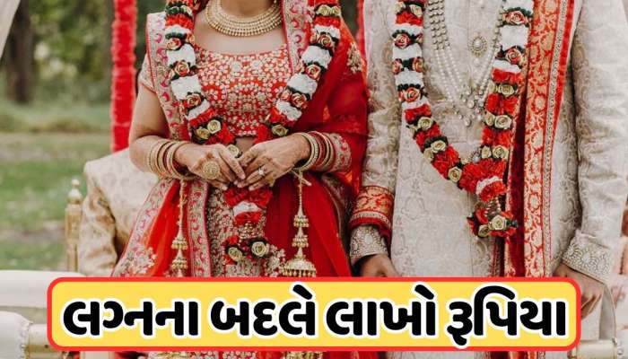 કુંવારા દોડજો ! તમે ખાલી લગ્ન માટે હા કહો... ડેટિંગ, સગાઈ અને એક રોમેન્ટિક હનીમૂન સાથે, લાખો રૂપિયા આપશે સરકાર
