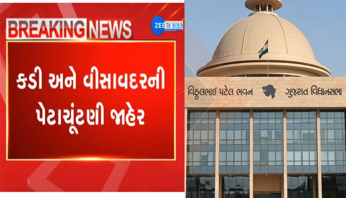 ગુજરાતમાં ચૂંટણી આવી : કડી અને વિસાવદર પેટાચૂંટણીની તારીખ જાહેર થઈ 