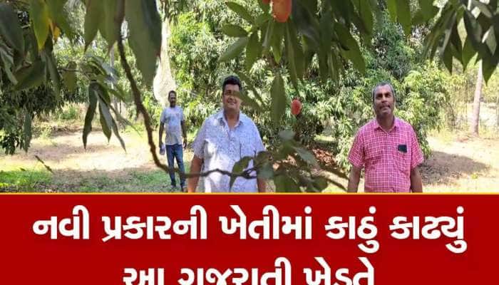 અશક્યને શક્ય બનાવ્યું આ ગુજરાતી ખેડૂતે, ઠંડા પ્રદેશનું ફળ ગુજરાતની ધરતી પર ઉગાડ્યું 