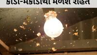 વરસાદની સિઝનમાં ઘરમાં નહીં ફરકે કીડી-મકોડા, બસ અપનાવી લો આ 5 ઉપાય