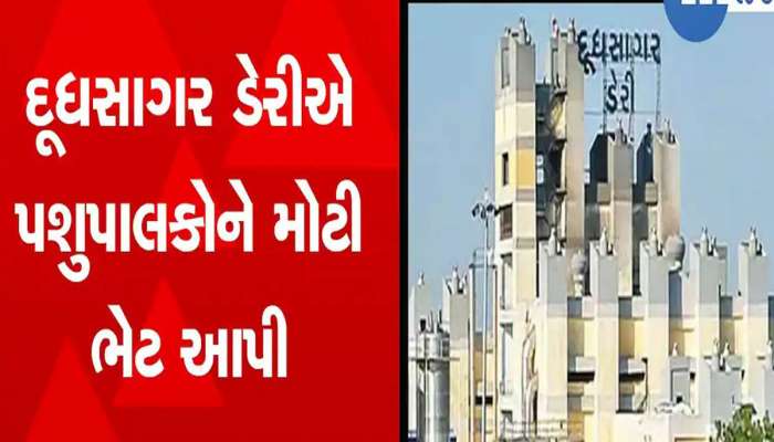 ગુજરાતના પશુપાલકો માટે ખુશખબર:  દૂધસાગર ડેરીએ શું આપી મોટી ભેટ? 5 લાખથી વધુને લાભ