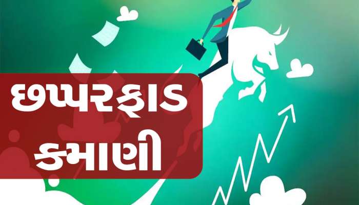 Stock Market News: આ ગુજરાતી કંપનીના શેરમાં તોફાની તેજી, 3800% ચડી ગયો સ્ટોક, 1 લાખનું રોકાણ 39 લાખ રૂપિયા થયું