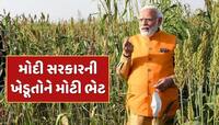 MSP Hike News : મોદી સરકારની ખેડૂતોને મોટી ભેટ, આ પાકની MSPમાં કર્યો 50%નો વધારો 