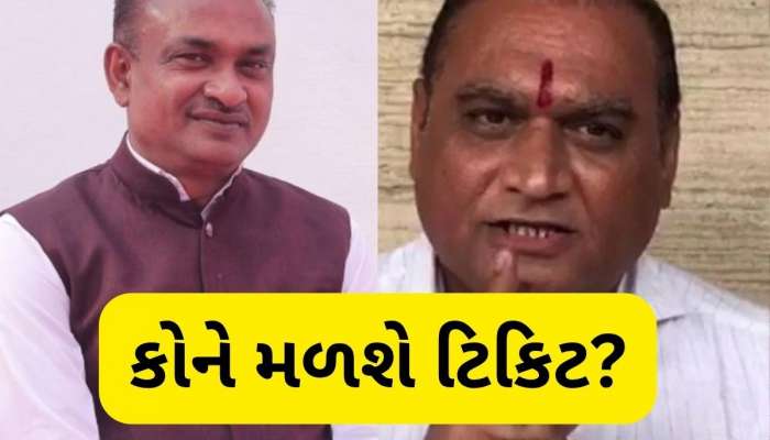  Visavadar By Election: વિસાવદર પેટાચૂંટણી માટે ભાજપમાં દાવેદારોનો રાફડો ફાટ્યો, આ છ નેતાઓએ નોંધાવી દાવેદારી