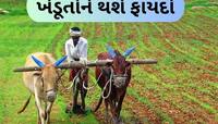 ખેડૂતો વાવેતર શરૂ કરે તે પહેલા ખરીફ પાકોનો ટેકાનો ભાવ જાહેર, 69થી 596 રૂપિયાનો વધારો