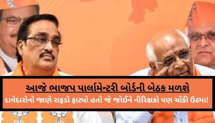 કોણ હશે ઉમેદવાર? કડી-વિસાવદર બંને બેઠકો પર આ દાવેદારોના ટોળા ઉમટતાં પ્રભારી ચોંક્યા!