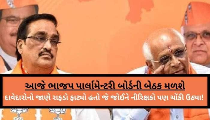 કોણ હશે ઉમેદવાર? કડી-વિસાવદર બંને બેઠકો પર આ દાવેદારોના ટોળા ઉમટતાં પ્રભારી ચોંક્યા!