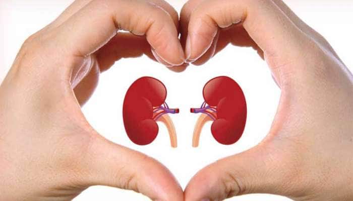 કિડનીની પથરીથી દવા વિના છુટકારો મેળવવાનો બેસ્ટ ઉપાય, રોજના આહારમાં આ 4 ફેરફાર કરી લો
