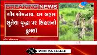 ગીર સોમનાથમાં ઘર બહાર સૂતેલા વૃદ્ધા પર સિંહણનો હુમલો, બહાદુર પુત્રીએ પોતાની માતાને સિંહણના સકંજામાંથી છોડાવી.