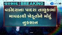 વડોદરાના પાદરા તાલુકામાં માવઠાથી ખેડૂતોનો થયું મોટું નુકસાન, ખેડૂતોના તૈયાર પાક પર ફરી પાણી વળ્યું 