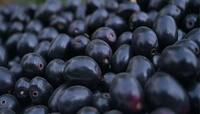 Jamun: રાવણા ખાવામાં આ 5 ભુલ કરશો તો ફાયદાને બદલે કરશે નુકસાન