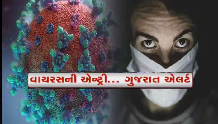 કોરોનાના ખતરા વચ્ચે ગુજરાતમાં ફરી આ વાયરસનો પગપેસારો! સેમ્પલ લઈ તપાસ માટે અમદાવાદ મોકલાયા
