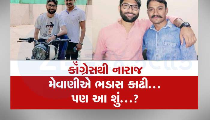 જિગ્નેશ મેવાણીની એક પોસ્ટથી શરૂ થયું મહાભારત, સામે આવ્યું કડીમાં પ્રભારી ન બનવાનું સાચું કારણ