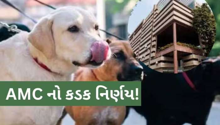 અમદાવાદમાં પાળતૂ શ્વાન રાખવું મોંઘું પડશે, રજિસ્ટ્રેશન ફીમાં કરાયો વધારો 