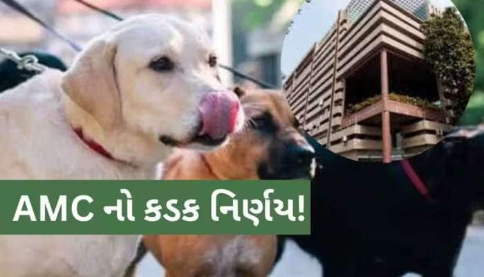 અમદાવાદમાં પાળતૂ શ્વાન રાખવું મોંઘું પડશે, રજિસ્ટ્રેશન ફીમાં કરાયો વધારો 
