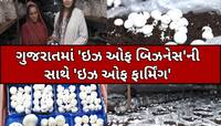 બેન્કરમાંથી બન્યાં ફાર્મર, મશરૂમની ખેતી કરીને આ મહિલા આજે કમાઈ છે કરોડો