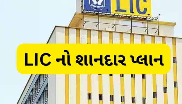માત્ર 1 વખત પૈસા લગાવો અને આજીવન મળશે  ₹1,42,500 નું પેન્શન, LIC ની કમાલની સ્કીમ
