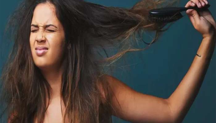 Frizzy Hair: ફ્રીઝી હેર એકવારમાં જ દેખાશે સુપર સોફ્ટ, ટ્રાય કરો આ લાલ ફૂલનું હેર માસ્ક