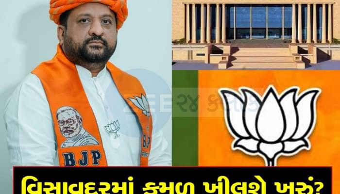 વિસાવદરમાં 18 વર્ષથી સંન્યાસ ભોગવતી ભાજપે કર્યો જબરો ખેલ, પાટીદાર Vs પાટીદાર કર્યું