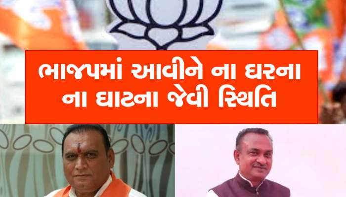 રીબડિયા-ભાયાણીનો ખેલ પડતાં હવે મોઢવાડીયા અને ચાવડા ટેન્શનમાં, ભાજપે કોણીએ ગોળ ચોંટાડ્યો
