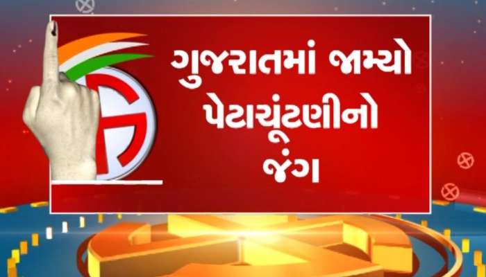 ગુજરાતમાં જામ્યો પેટાચૂંટણીનો જંગ, કડી-વિસાવદર બેઠક પર ત્રણ-ત્રણ ઉમેદવાર મેદાનમાં