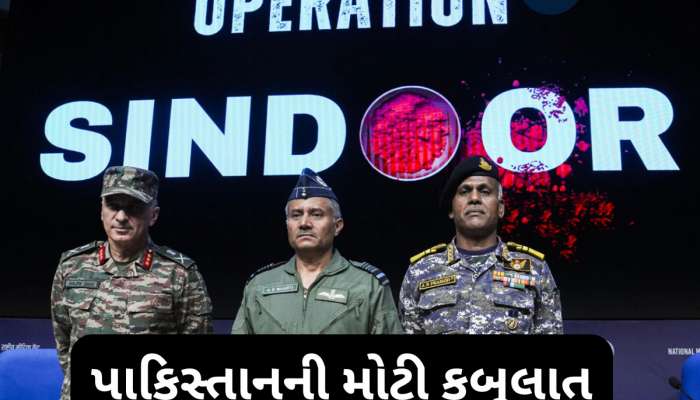 પાકિસ્તાનના ડોઝિયરથી દુનિયા સ્તબ્ધ, ભારતે કહ્યું એના કરતા ઘણી વધુ મચાવી હતી તબાહી